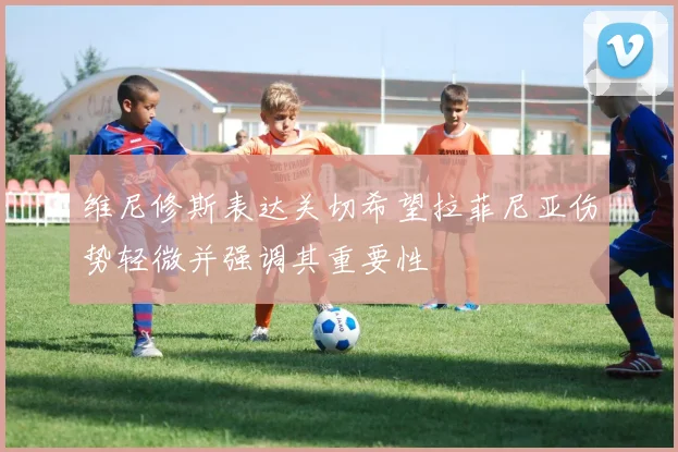 维尼修斯表达关切希望拉菲尼亚伤势轻微并强调其重要性