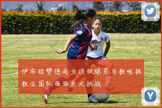 伊布称赞德尚为顶级球员与教练执教法国队面临巨大挑战